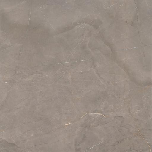 Akron Taupe Polished Porcelain Wall & Floor Tiles 120 x 120cm